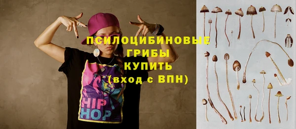 спайс Алексин