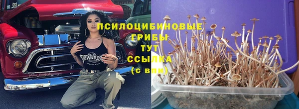 СК Алексеевка