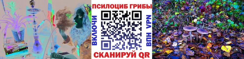 Псилоцибиновые грибы мицелий  Изобильный 