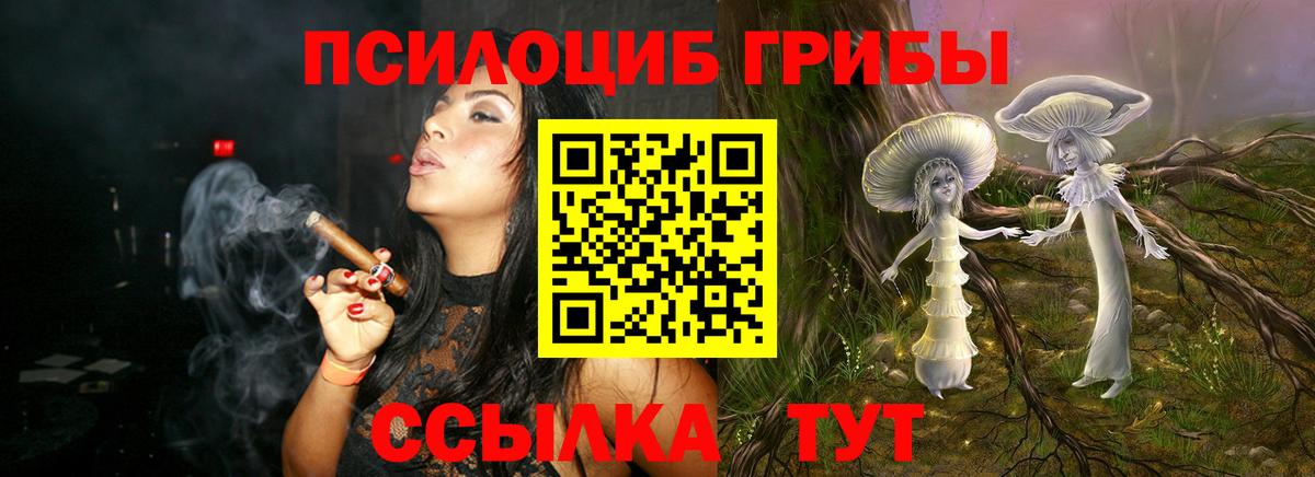 Псилоцибиновые грибы GOLDEN TEACHER Изобильный